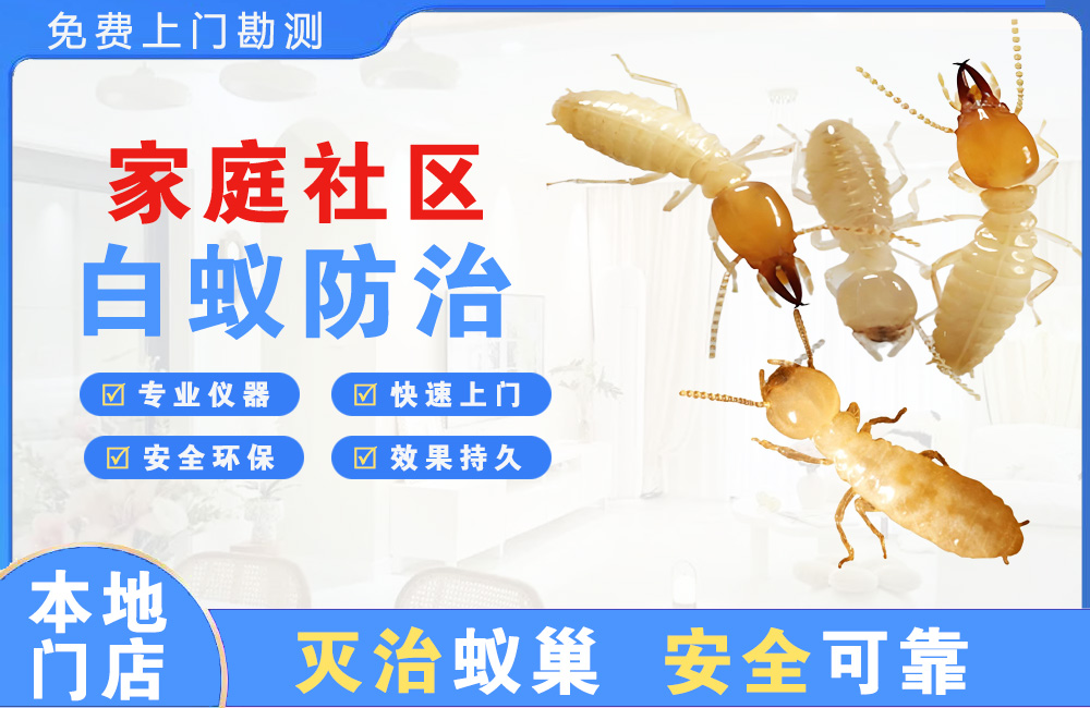 丽水家庭社区白蚁防治