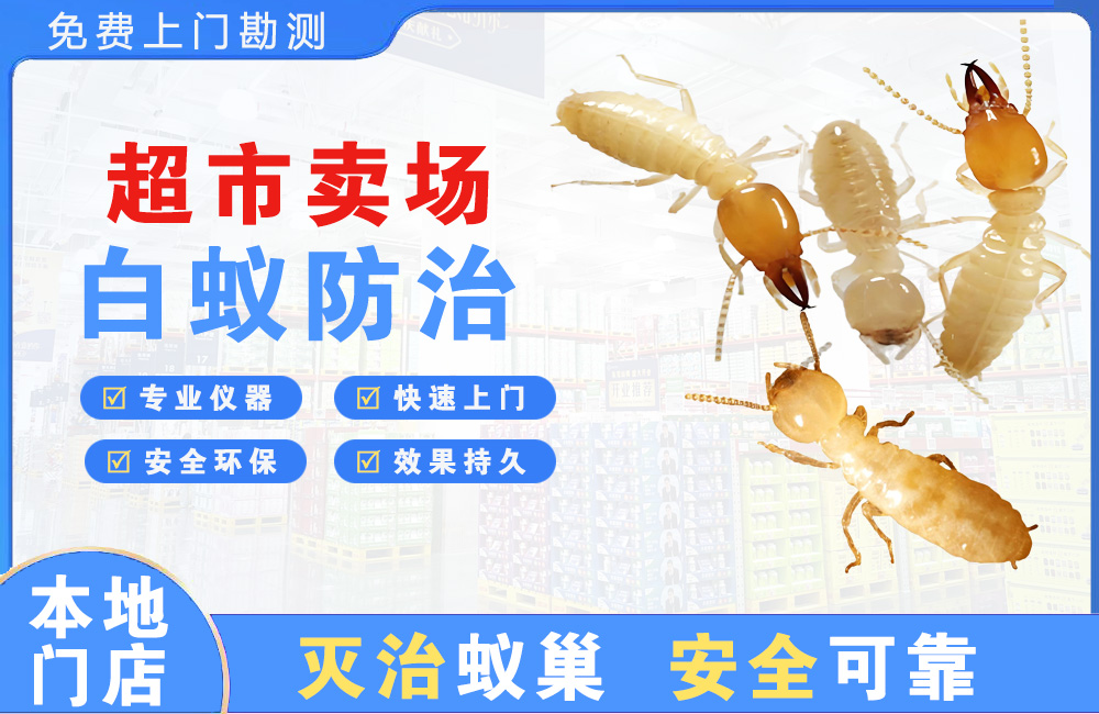 丽水超市卖场白蚁防治