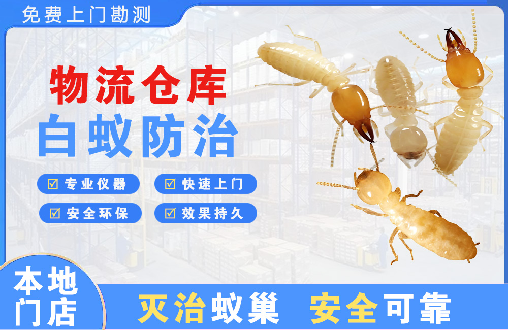 丽水物流仓库白蚁防治