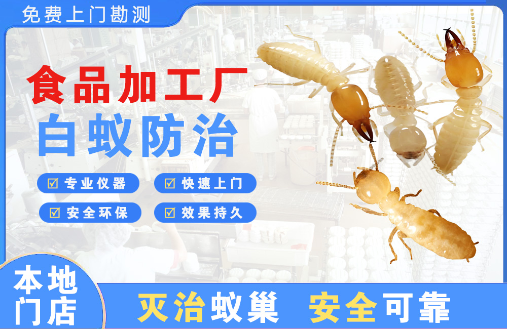 丽水食品加工厂白蚁防治