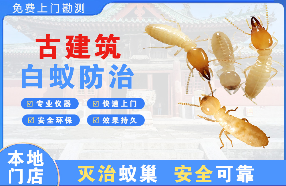 丽水古建筑白蚁防治