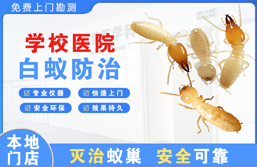 丽水学校医院白蚁防治