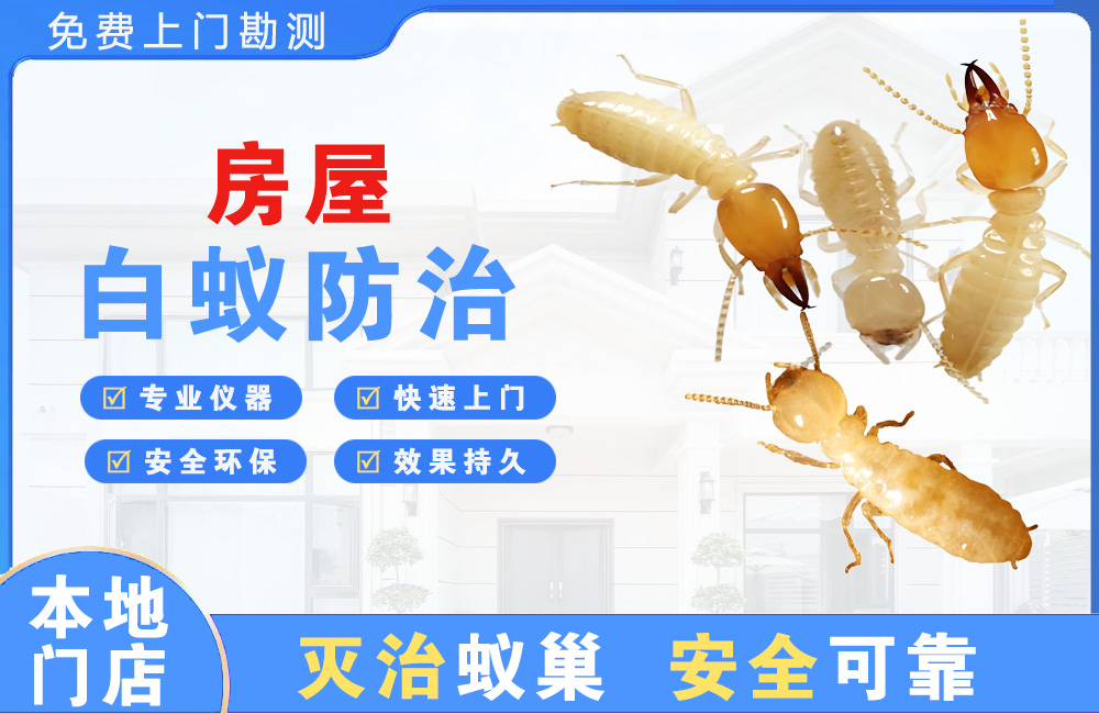 丽水房屋白蚁防治