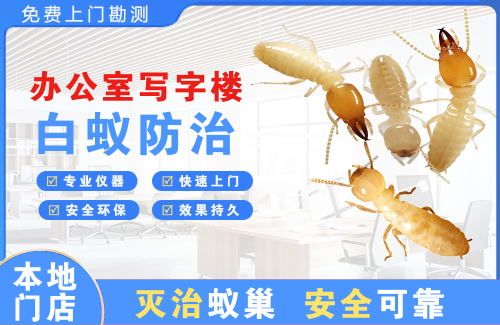 丽水办公室写字楼白蚁防治