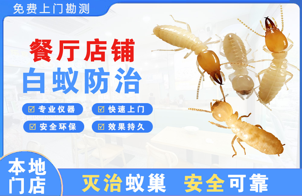 丽水餐厅店铺白蚁防治